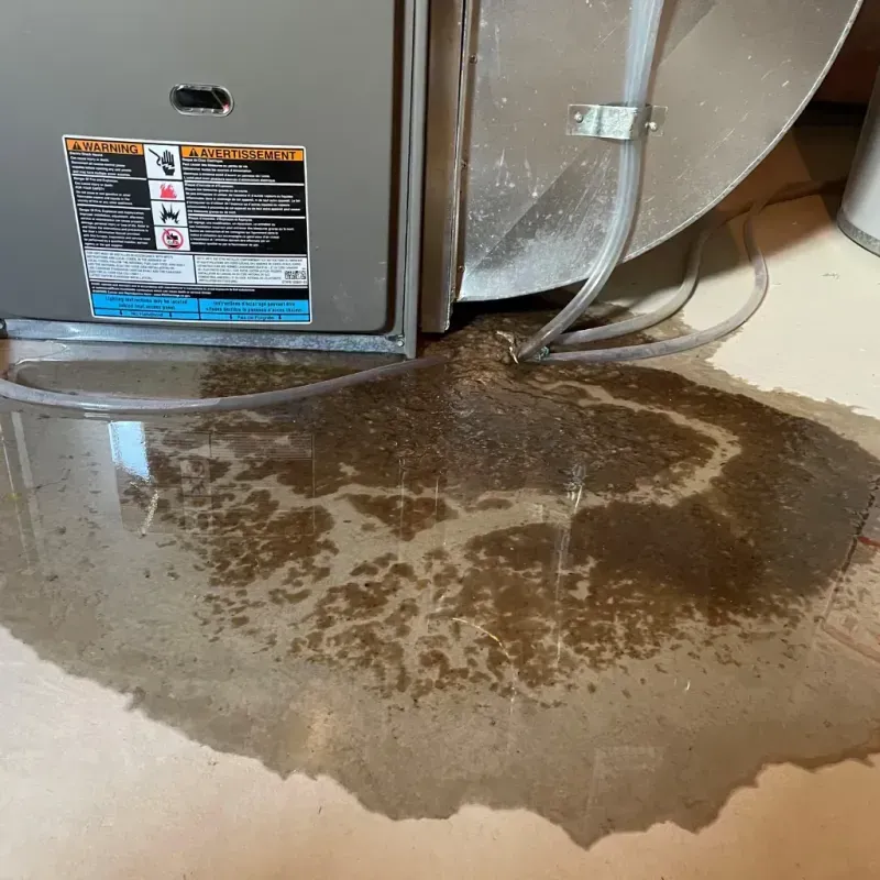 Appliance Leak Cleanup in West Dundee, IL